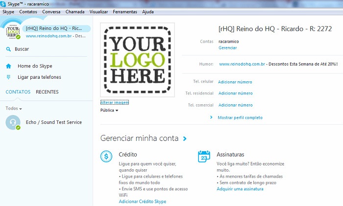 Amostra de perfil empresarial no Skype.